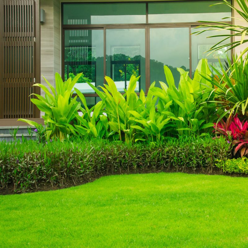 "Modern house with beautiful landscaped front yard, Garden with fresh green grass both shrub and flower front lawn background, Garden landscape design Fresh grass smooth lawn with curve form bush."