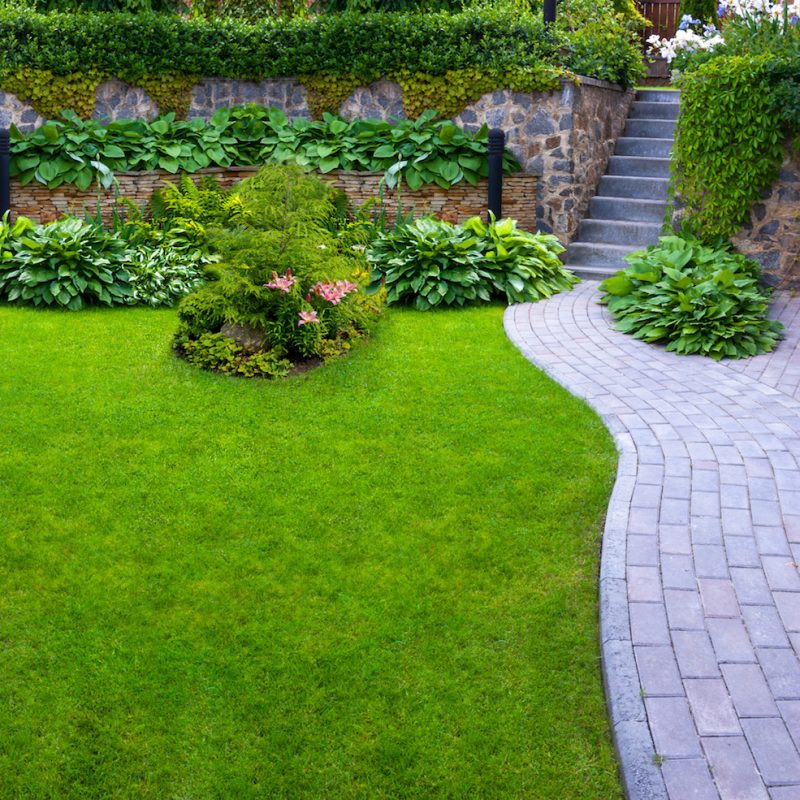 Detail of a botanical garden.