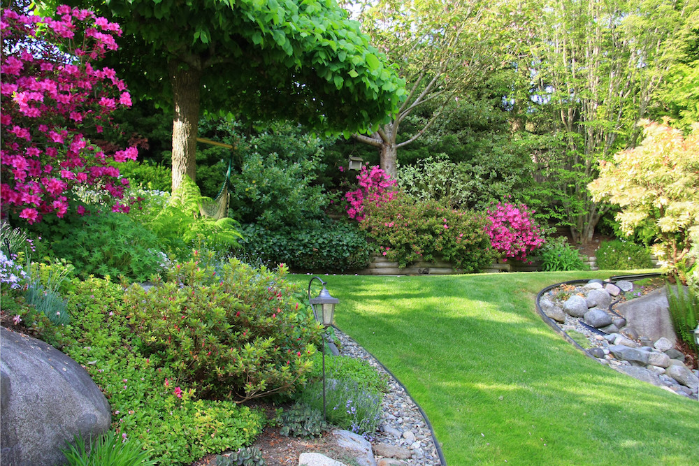 beautiful park garden in spring.